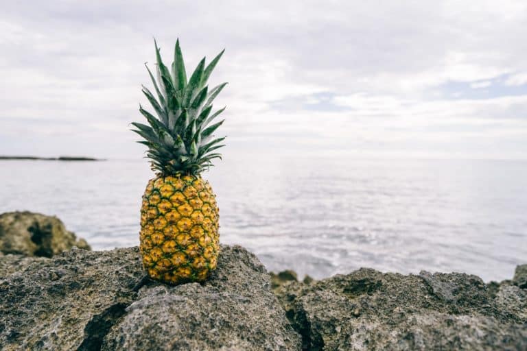 San Juan Capistrano Drug Rehab - Diet For Recovering Addicts