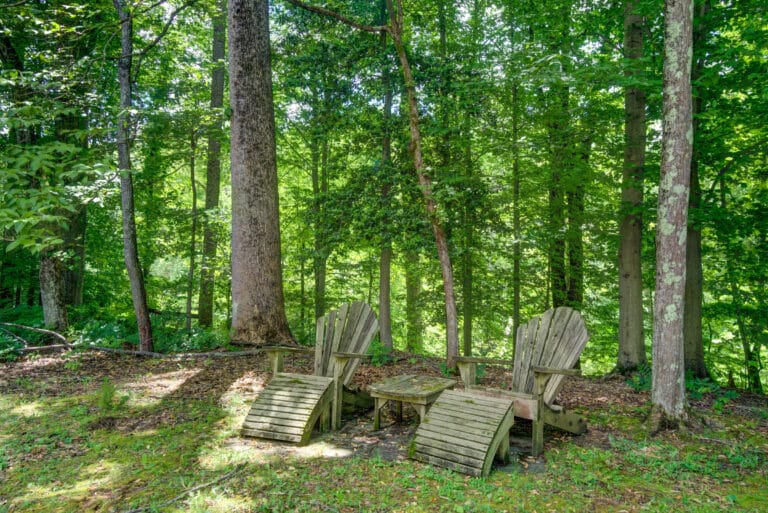 backyard recreation area at amfm mental health treatment in Fairfax Station, VA