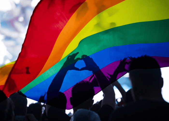 Crowd with rainbow flag, representing California LGBTQ+ crisis hotlines