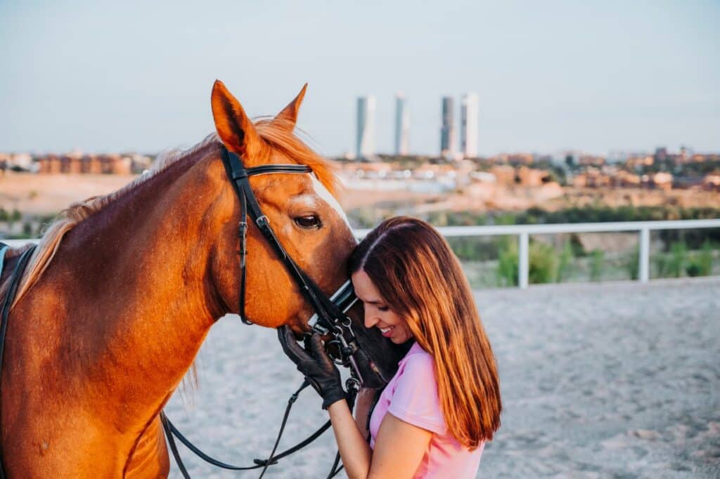 equine therapy