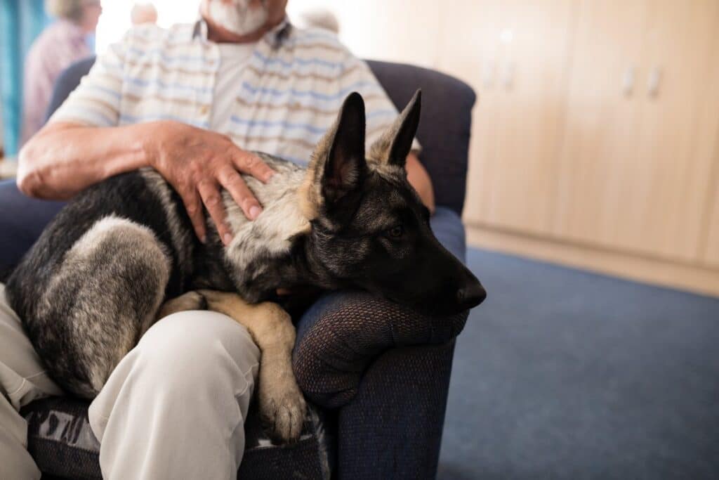 therapy dog for mental health